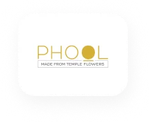 Phool Shopify Developers