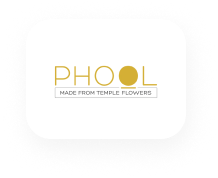 Phool Shopify Developers